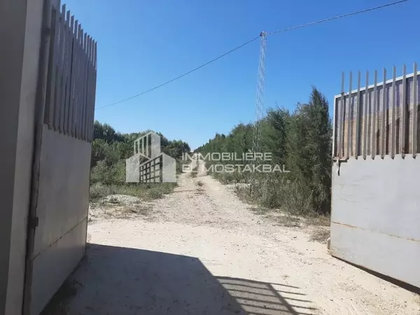 une ferme de 6 hectares à takelsa